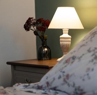 Haguenau Appartement | Nid d'émeraude - Votre escale cosy à Haguenau
