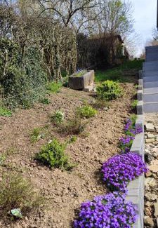 Rochefort Appartement | Niddouillet