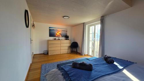 Spiez Appartement | Niesen Loft