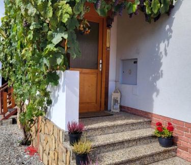 Zavazna Poruba Appartement | Nika07