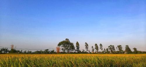 Yen Khanh Maison | Ninh Binh Riverside Family Homestay