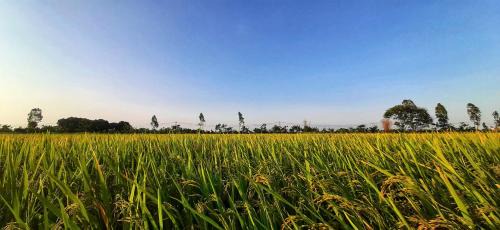 Yen Khanh Maison | Ninh Binh Riverside Family Homestay
