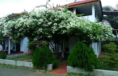 Kalkudah Station Balnéaire | Nirmaa Shadow Inn