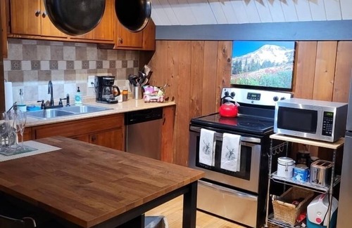 Paradise Estates Cabine | Nisqually Nest Mt Rainier hot tub and sauna