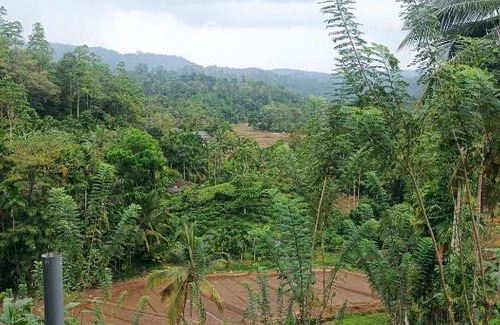 Kotapola Maison | Niwahana sinharaja