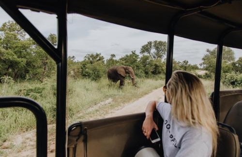 Mbombela Cabine | Nkambeni Safari Camp