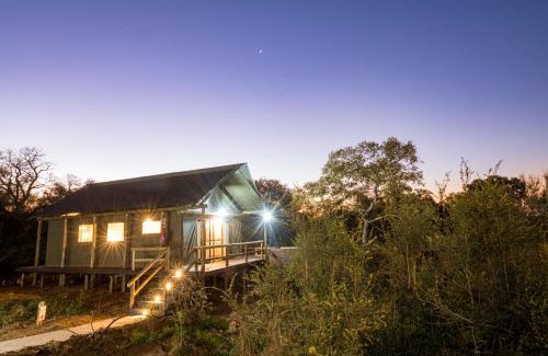 Kruger National Park Autre | Nkuhlu Tented Camp