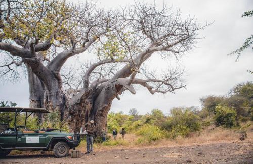 Kruger National Park Autre | Nkula Camp - Pafuri Walking Safari's
