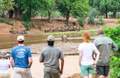 Kruger National Park Autre | Nkula Camp - Pafuri Walking Safari's