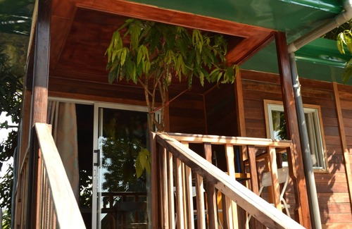 Kribi Cabine | Cabane à Noé dans un Manguier centenaire