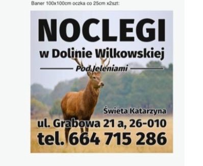 Bodzentyn Maison | Noclegi Święta Katarzyna , Pod Jeleniami "prawdziwymi