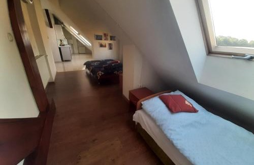 Zbiczno Maison | Noclegi Zdzisław Sieradzki