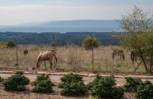 Had Nes Cabine | Nof Kinneret Cabins
