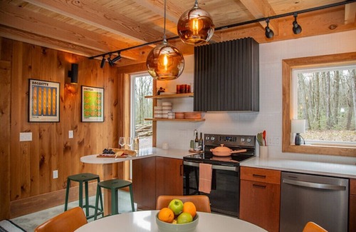 Jim Thorpe Cabine | Noir Haus - NEW! Custom luxury cabin 2 acres w pool table fire pit hot tub