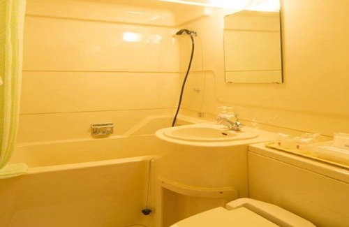 Kintaro Onsen Hôtel | Nonsmoking Single with sofa Slightly larger roo / Uozu Toyama