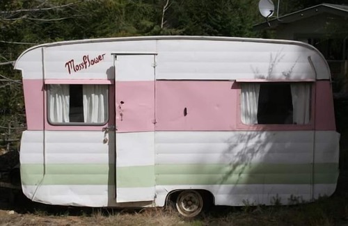 Naseby Maison | Nouvelle crèche de style nordique à la forêt de Naseby