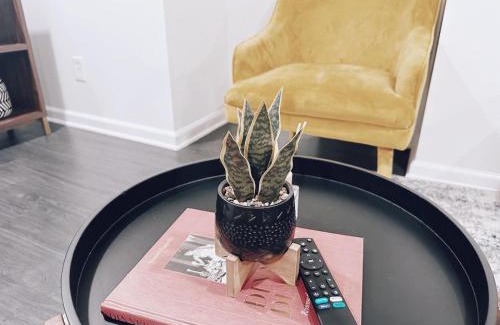 Eckington Appartement | North Capitol Charm