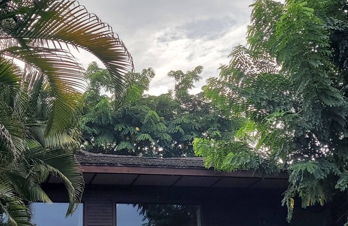 Waialee Maison | North Shore Getaway w/ Ocean Views steps to Beaches and Surf