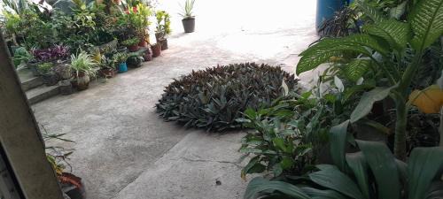 Sao Lourenco dos Orgaos Maison | NoS Casa