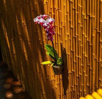 Rio das Pacas Maison | Nosso Mar