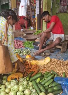Dambulla Cabine | not