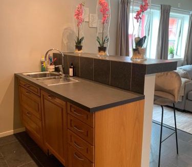 Notodden Appartement | Notodden Sentrum Apartment NO 8