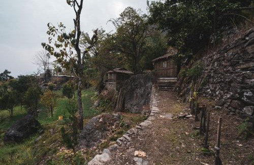 Rumtek Maison | NotOnMap - Lum Tshering Organic Farm