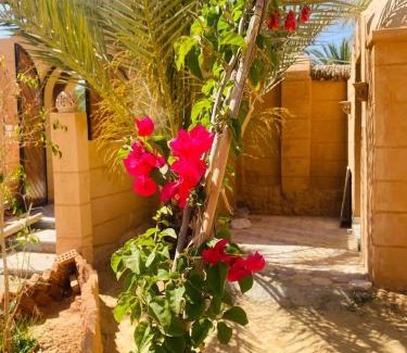 Siwa Hôtel | Nour El wadi