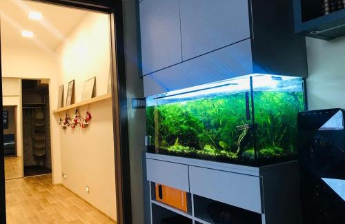Ostrava Appartement | Nový apartmán v Ostravě u Mišky s akváriem a výhledem z balkonu na Beskydy