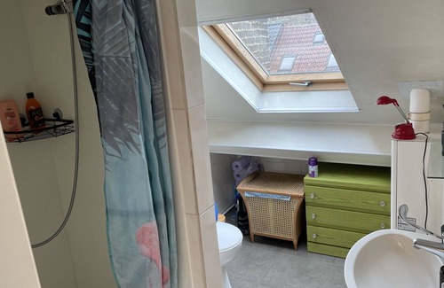 Sint-Gillis Appartement | Novisa Attic Apartment