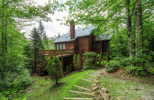 Canaan Valley Maison | 3 bd avec lits queen! À quelques minutes de Davis / Thomas et de toutes les activités! Animaux acceptés!
