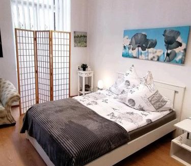 Annaberg-Buchholz Maison | Nr 3 Großzügiges Kamin-Zimmer mit King-Size Bett im Zentrum WLAN TV gute Laune