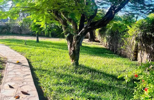 Malindi Maison | Ntunu House
