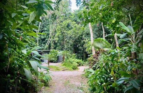 Vargem Grande Villa | Nui Contêiner - Refúgio Natural no Rio de Janeiro
