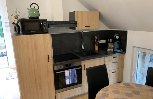 Sarreguemines Appartement | Nuit des étoiles gîte avec piscine et SPA communs