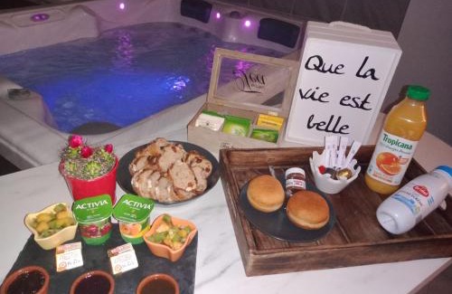 Auterive Appartement | Nuit romantique avec Jacuzzi SPA privatif proche TOULOUSE