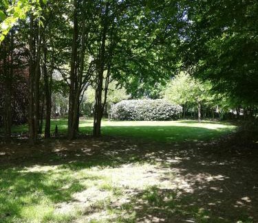 Godveerdegem Appartement | Nuvola East