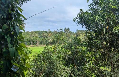 Beliatta Maison | Nuwans Countryside Hideaway