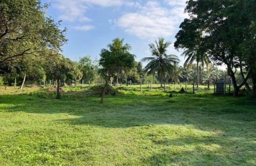 Attikulama Maison | Nuwara Wewa Holiday Resort