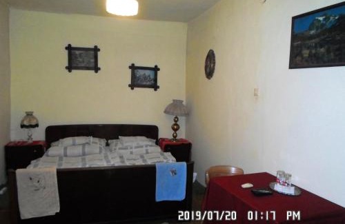 Tiszakurt Maison | Nyolc szilvafás ház
