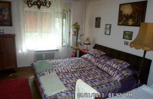 Tiszakurt Maison | Nyolc szilvafás ház