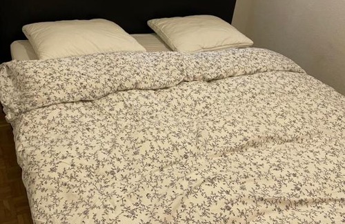 Nyon Appartement | Nyon Gare, Centre