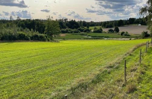 Atvidaberg Municipality Appartement | Nyrenoverad stuga nära naturen