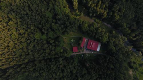 gmina Olszyna Autre | Ośrodek leśny Rajsko w Zapuście