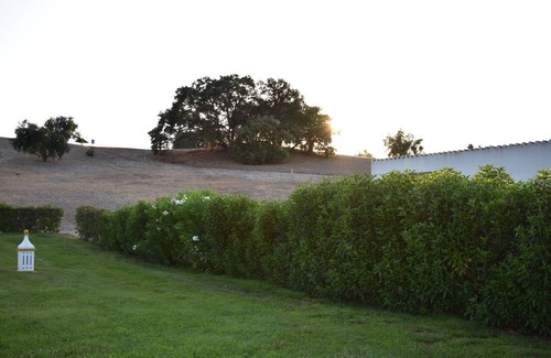 Cuba Villa | O Cantinho Alentejano -Herdade do Gizo 23
