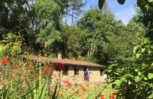 Rielo Maison | O Muíño da Balsiña