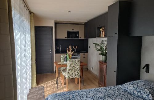 Cholet Appartement | O Petit Jardin studio Cholet