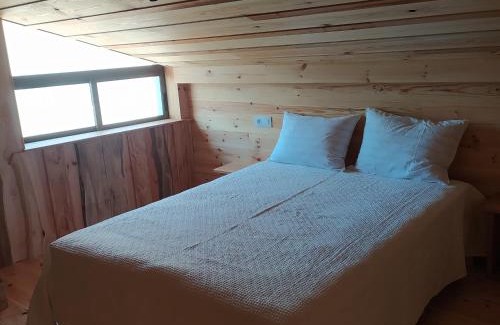 A Guarda Appartement | O soño das árbores