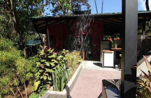 Ojochal Hôtel | Oasis de las Palmas