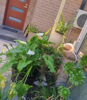 Dural Maison | Oasis in the Heart of Dural